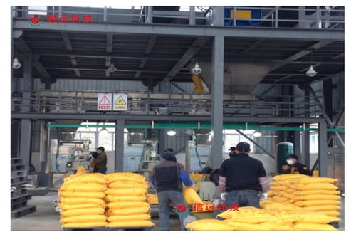 豐南半自動(dòng)水溶肥生產(chǎn)線設(shè)備廠的技術(shù)服務(wù)全解析